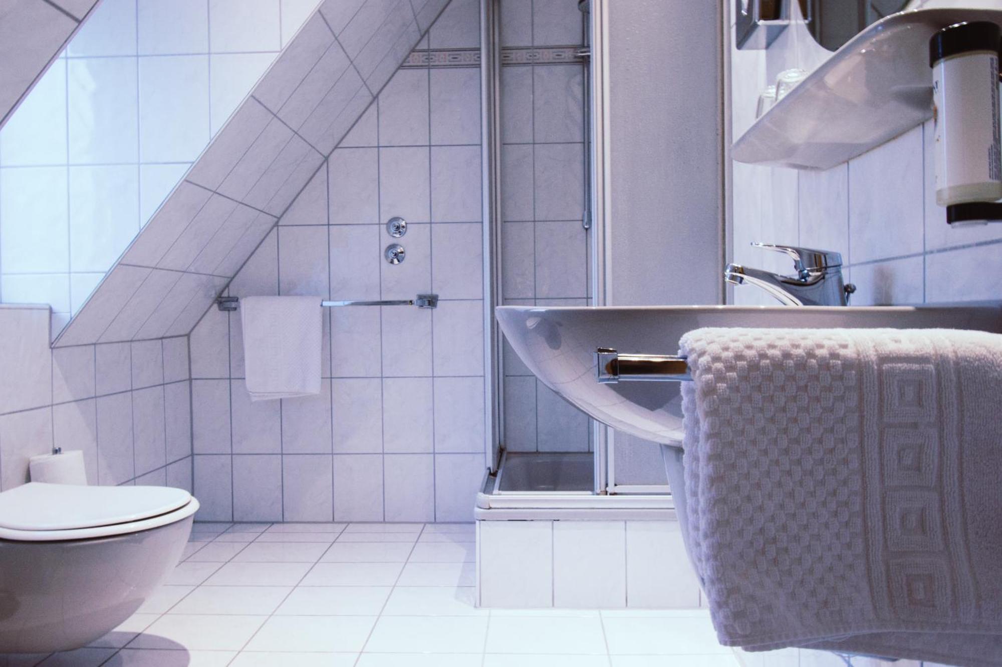 Hotel Roter Loewe Ulm Habitación foto